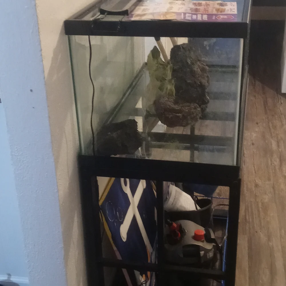 Fish tank 40 gal.with stand